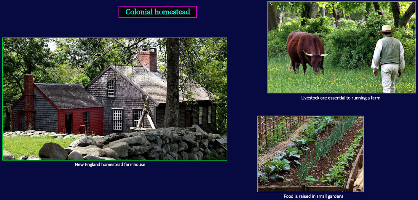 Early colonial farmsteads
